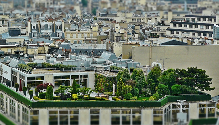 [URBANISME] Prise en compte de la biodiversité dans l’urbanisme